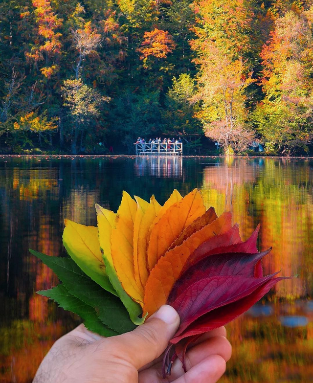 Turcia si curcubeu de culori autumnale