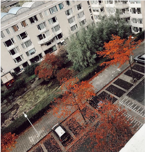 Toamna in tinuturi olandeze