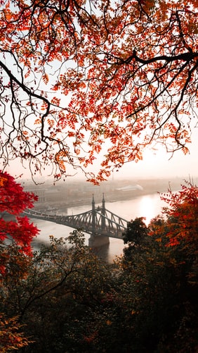 Ungaria surprinsa in decoruri rosiatice de natura