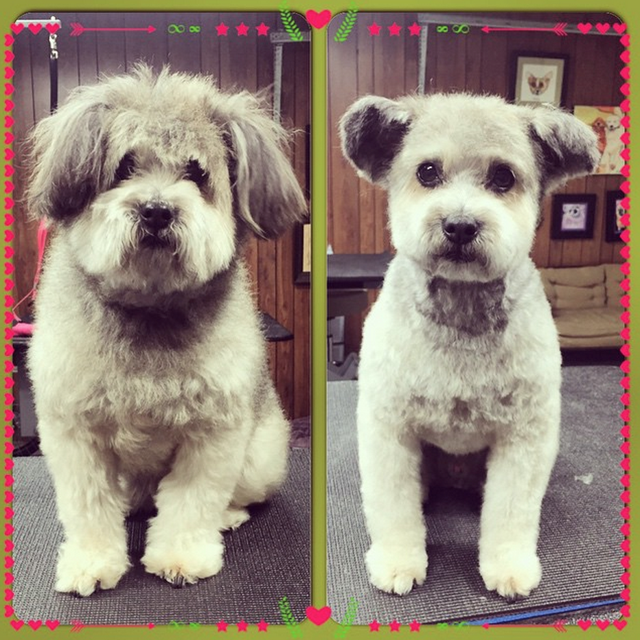 Doar o mica tunsoare