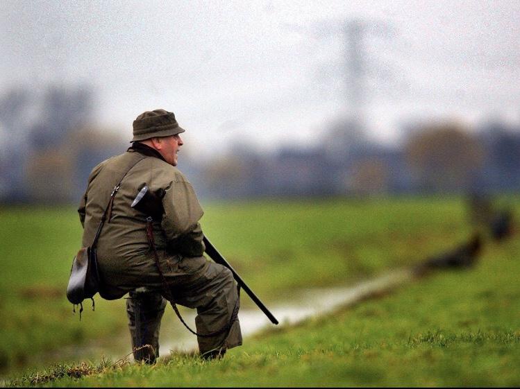 Nu stii sigur daca sta pe scaun sau nu