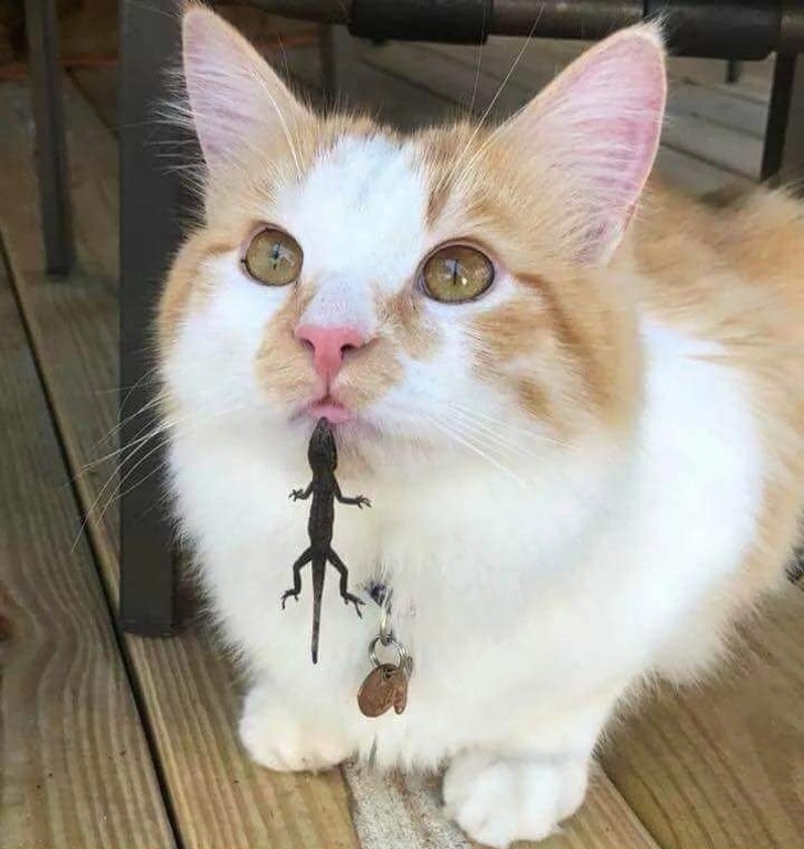 Asteapta politicos sa fie ajutat