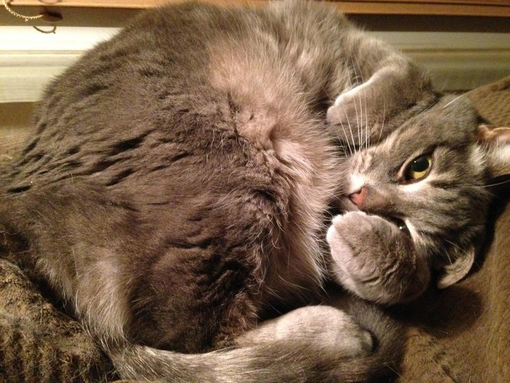 Cand intalnesti oameni pentru prima data si esti timid: