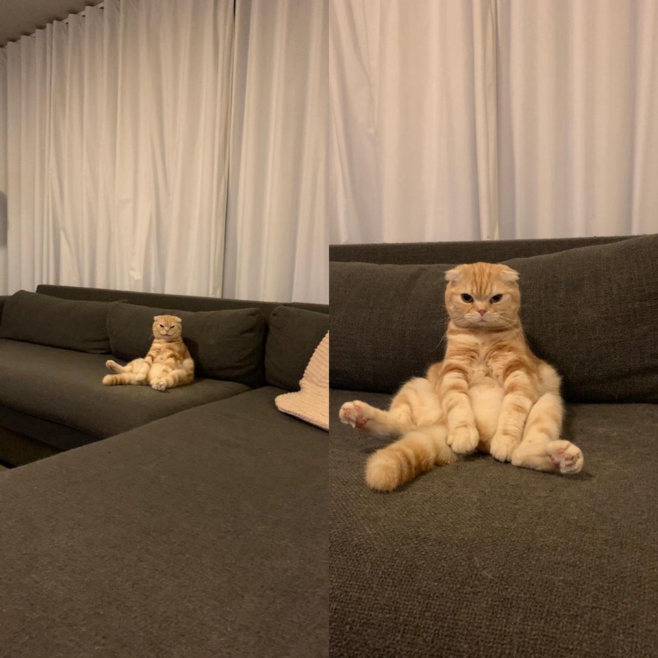 Asa ii place sa stea pentru a se uita la televizor