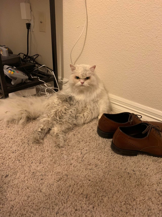 Dupa ce a fost data disparuta, Dolores a decis sa se intoarca acasa