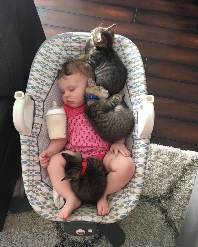 Cine a spus ca este un scaun doar pentru bebelusi?