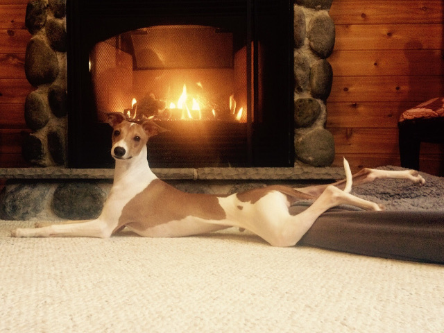 Clar nu stie ce vrea