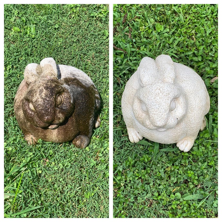 Cand exista dorinta se poate