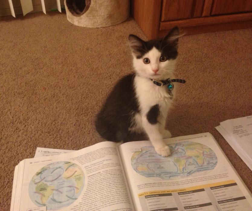 Priveste cu atentie: