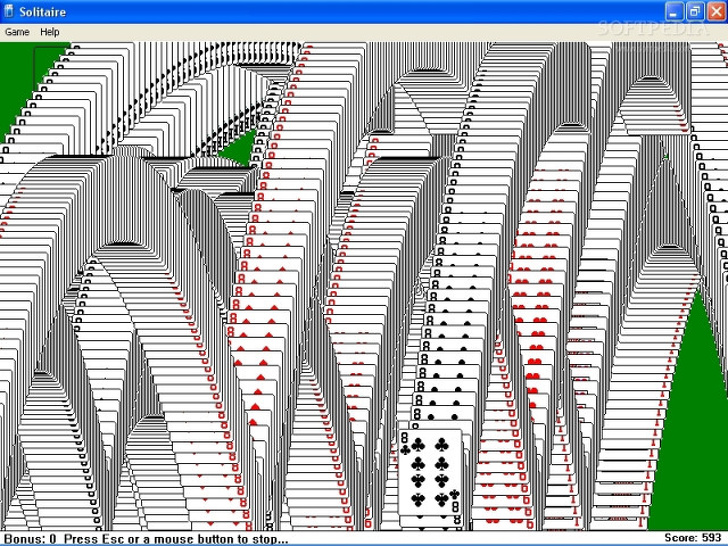 Nimeni nu stia sa se joace Solitaire