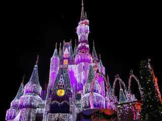 Adevarata magie de la Disney World