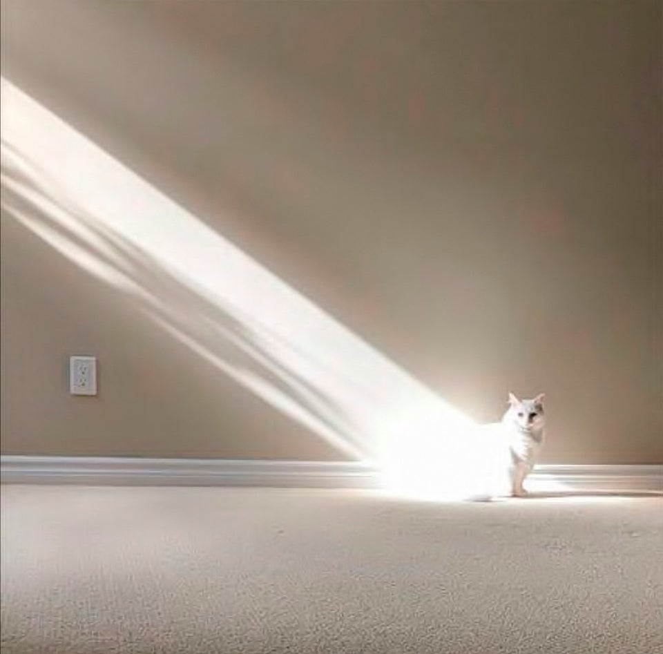 O fotografie cu adevarat magica