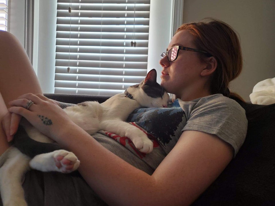 Pisicile iti sunt alaturi chiar si in momentele mai dificile