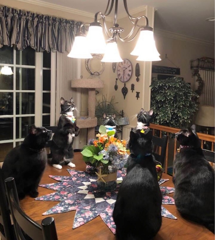 Sunt fascinate de candelabru