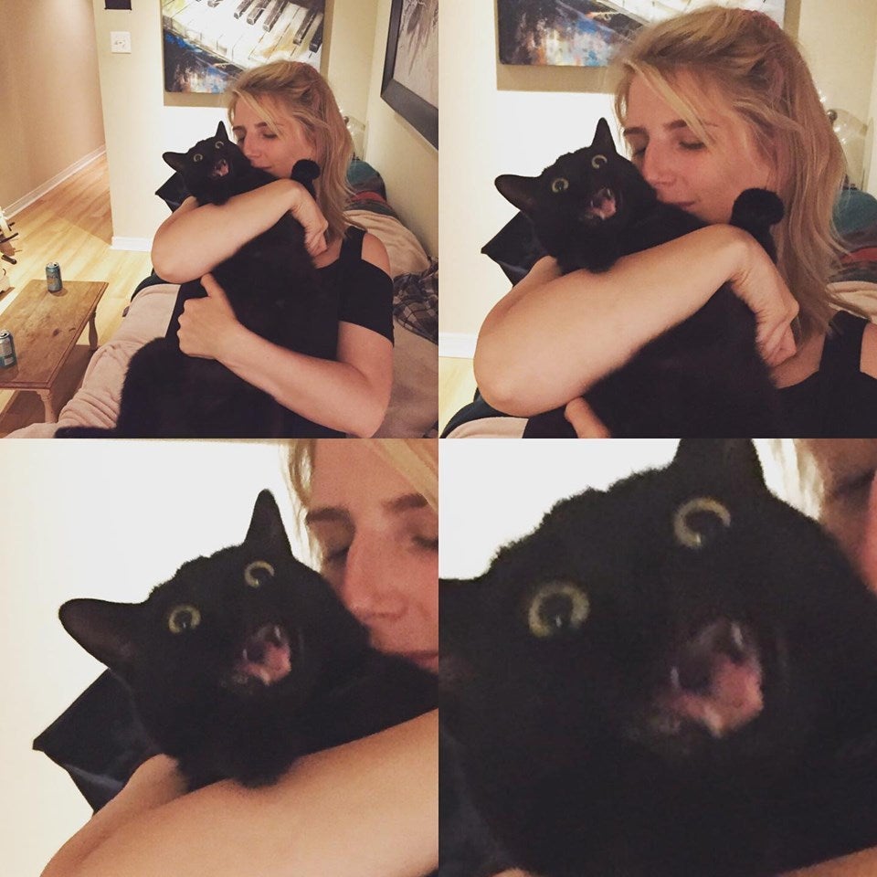 Acestei pisici nu prea ii plac imbratisarile...