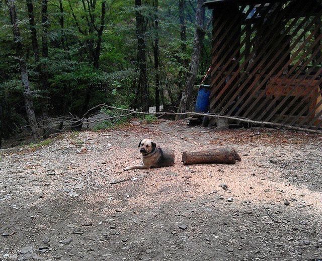 Un stapan a intrat imediat in panica... apoi a privit cu atentie. Era doar o iluzie optica