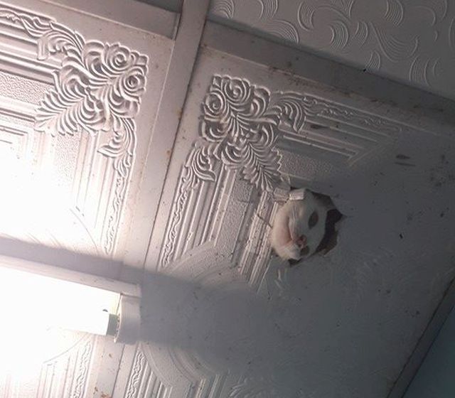 Imposibil sa nu te sperii