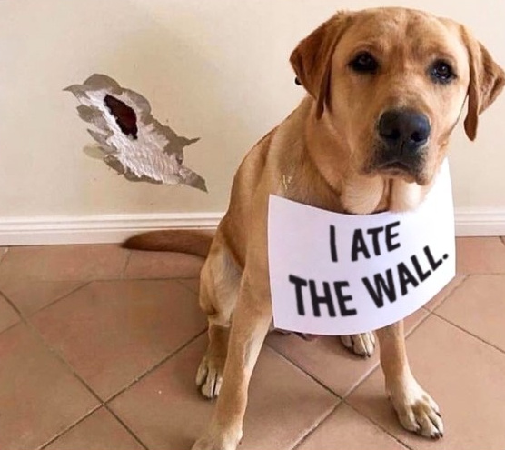 A mancat putin din perete...