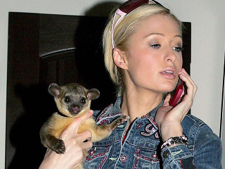 Paris Hilton