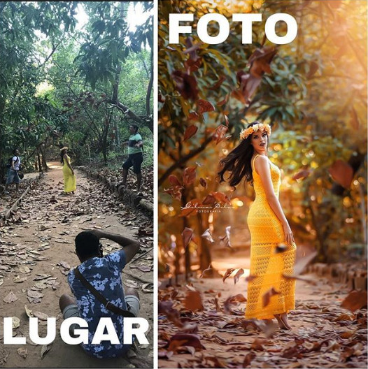 Un fundal de toamna perfect