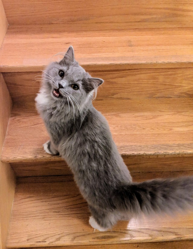 Reactia ei cand stapana merge prea incet si trebuie sa o astepte: