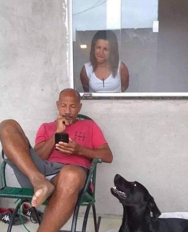 Pana si cainele a realizat ca stapanul sau are probleme