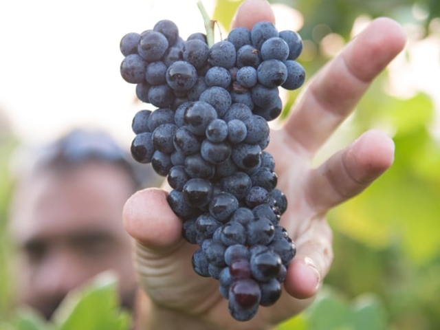 Descoperiri care ne-au uimit in 2019