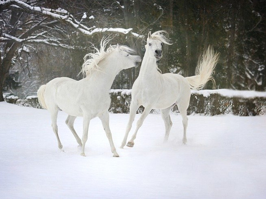 Imaginea vorbeste de la sine