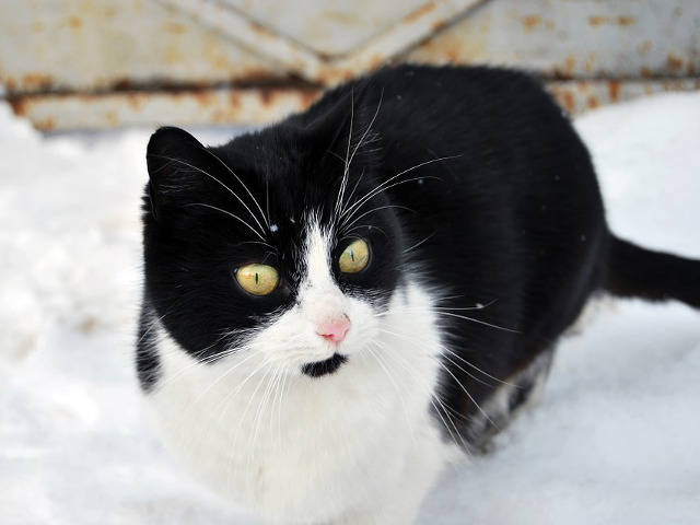 Pur si simplu nu ii vine sa creada ca a venit iarna