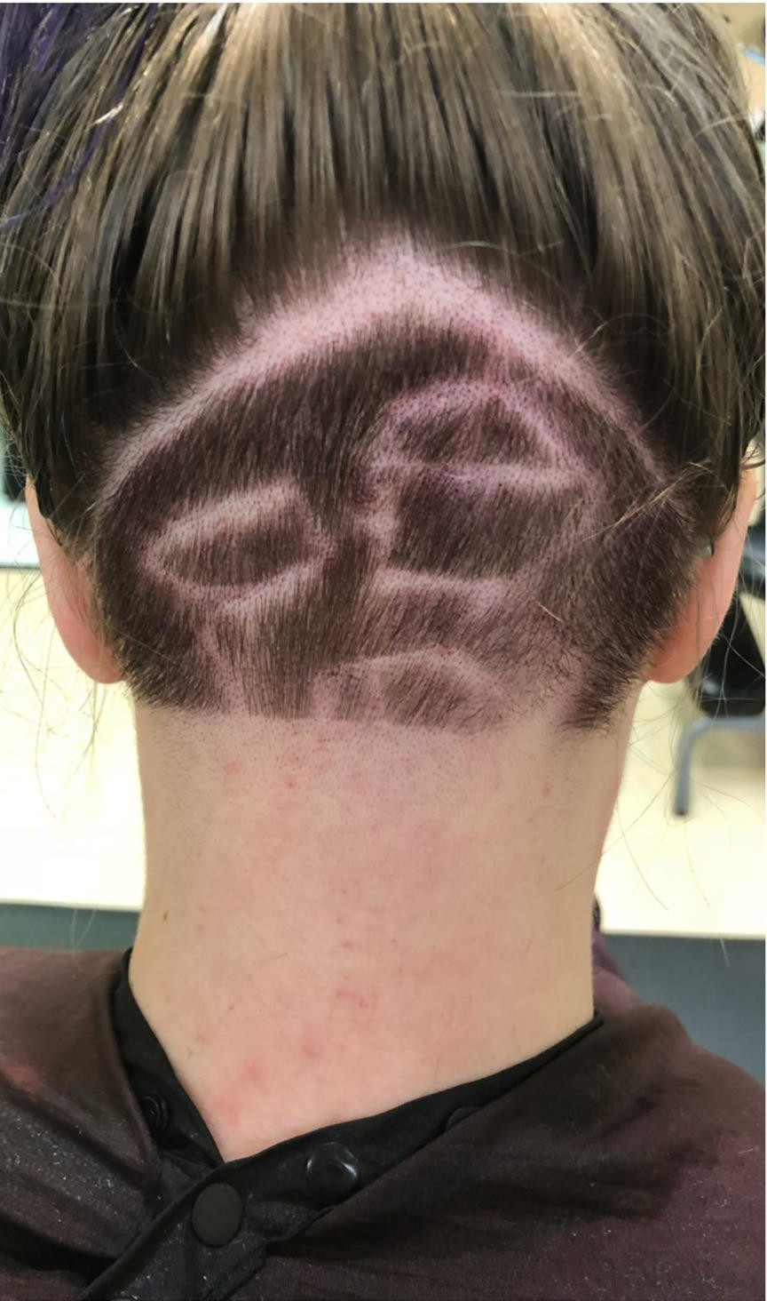 A vrut un model cu o nava spatiala, dar nu a iesit nici pe aproape