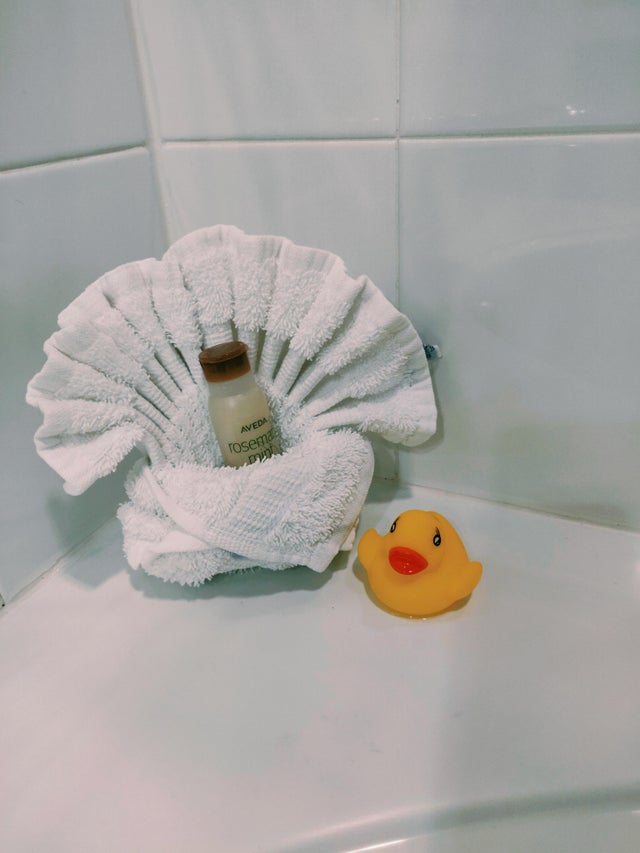 Intr-o camera de hotel, cineva a gasit o ratusca de baie