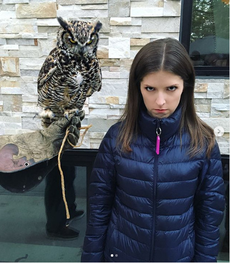 Anna Kendrick, imitand privirea bufnitei
