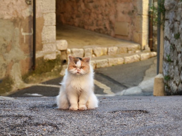 Oamenii grosolani au ceva personal cu noi