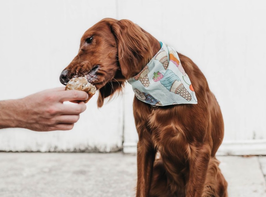 Mancarurile condimentate sau cu foarte multa grasime