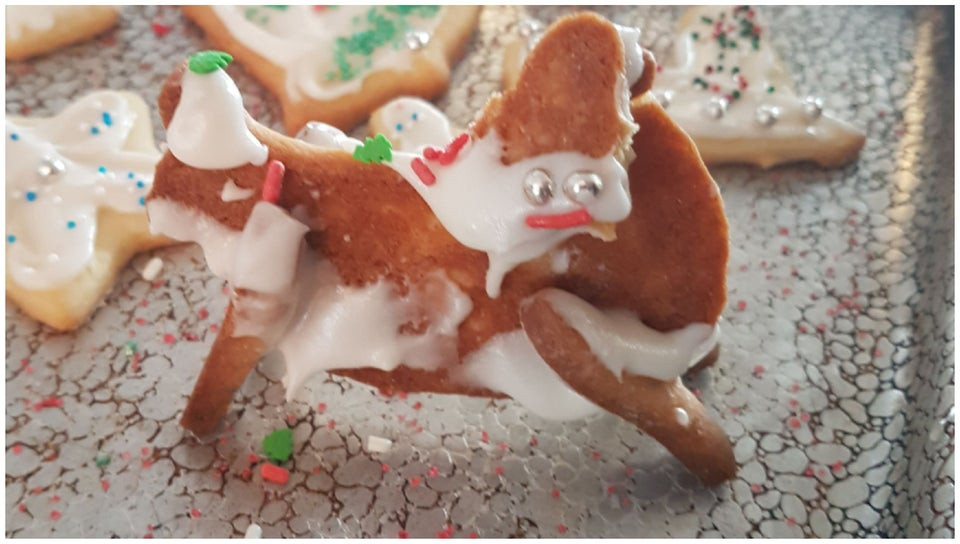 O incercare nereusita de a face un ren