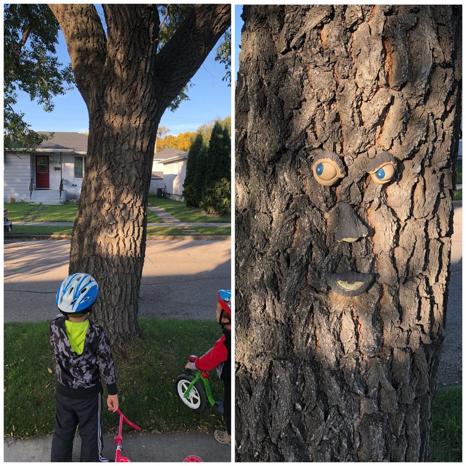 Copilasii se plimbau cu bicicleta si s-au oprit pentru ca s-au speriat de acest copac