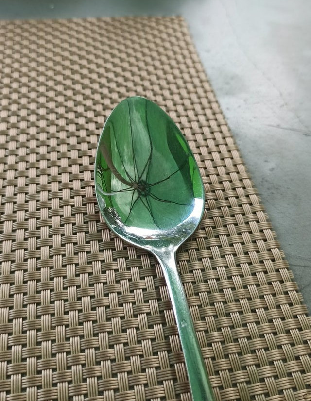 Reflexia umbrelei face sa para ca este un paianjen in lingura