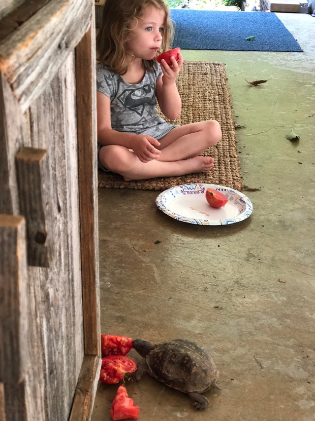 In fiecare zi stau impreuna si mananca rosii