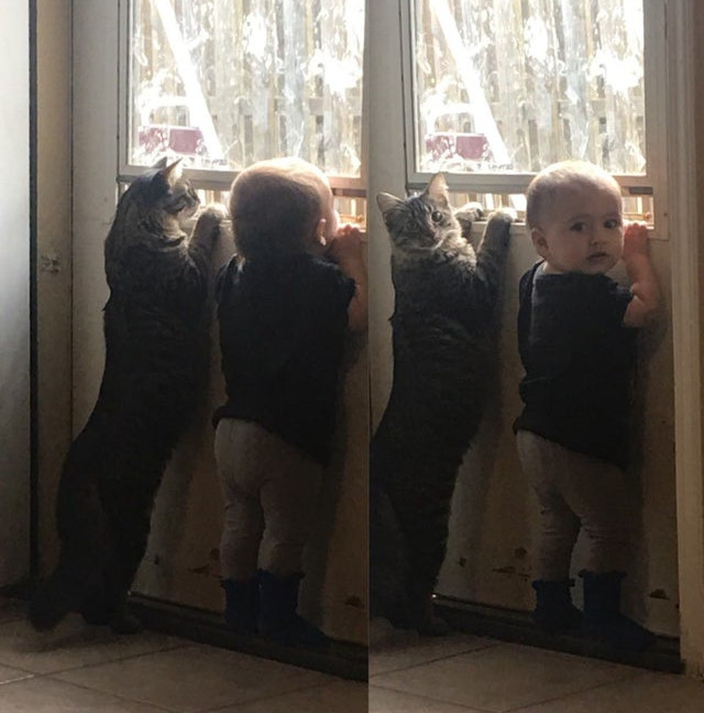 Cei mai buni prieteni