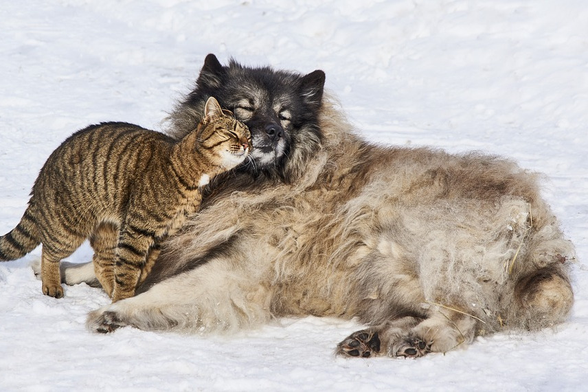 Imposibil sa nu iti smulga un zambet