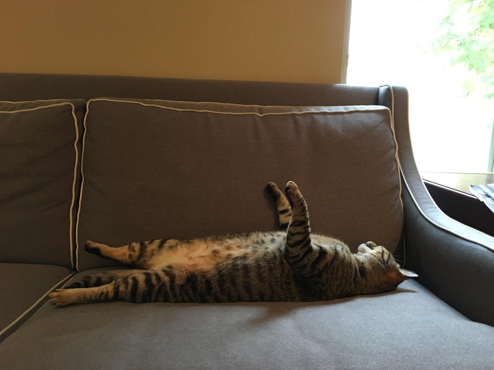 Mult prea obosita pentru a-i pasa de pozitia in care sta