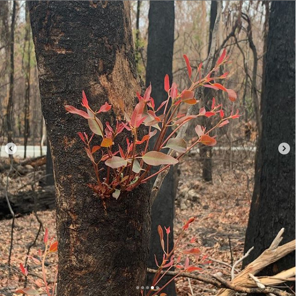 Natura isi revendica teritoriul