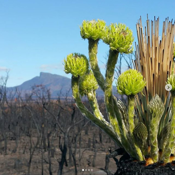 La doar trei saptamani dupa incendiu