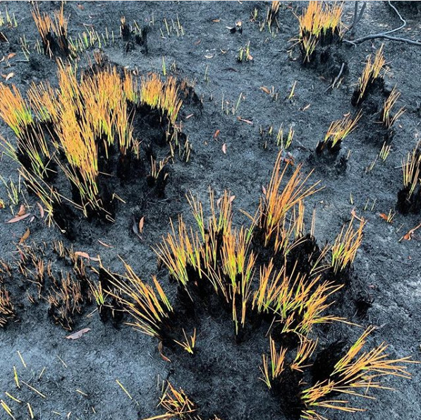 Nimic nu este imposibil