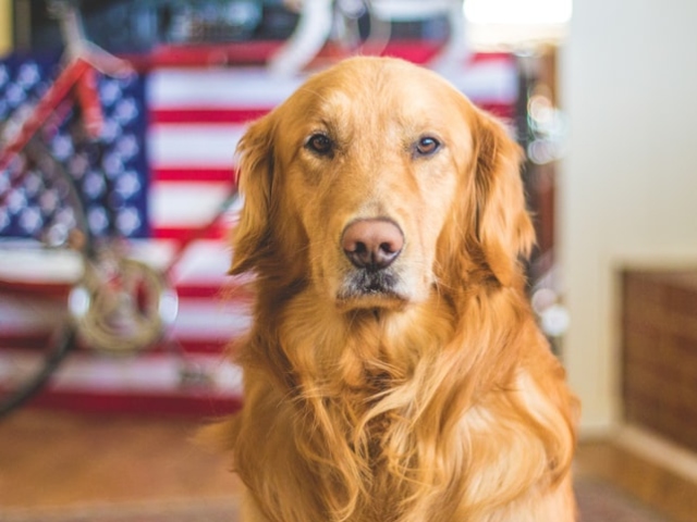 Isi pot da seama cand esti nesimtit