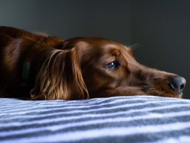 Stiu cand nu sunt tratati corect