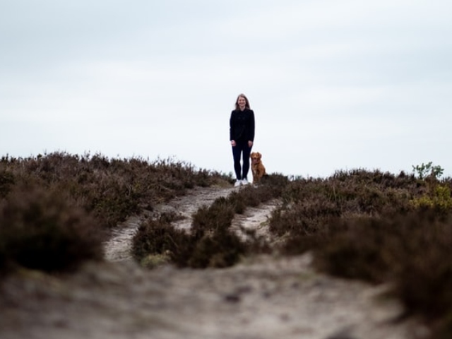 Pot sa isi dea seama cand va urma un cutremur