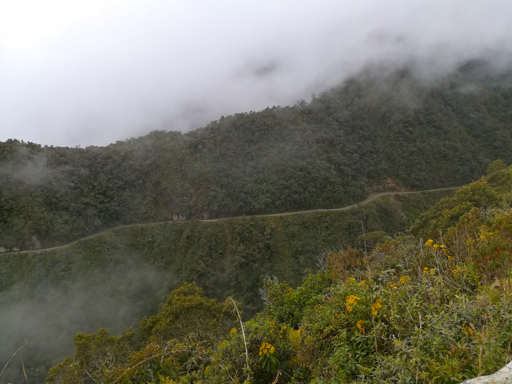 1. Soseaua North Yungas