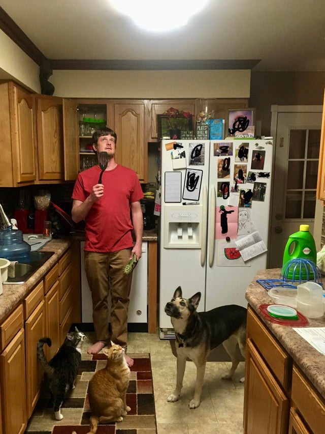 Era o molie in bucatarie