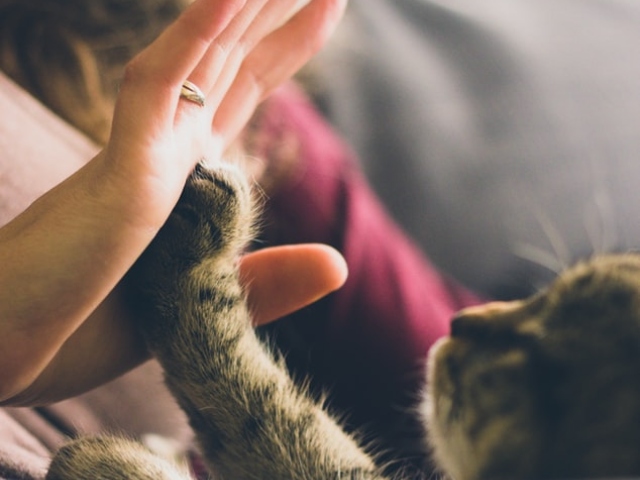 Te ierti si te cunosti mai bine